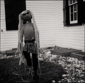 Scarecrow6